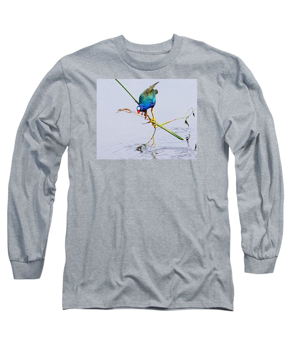 Bird Long Sleeve T-Shirt featuring the photograph Purple Gallinule by Lawrence S Richardson Jr