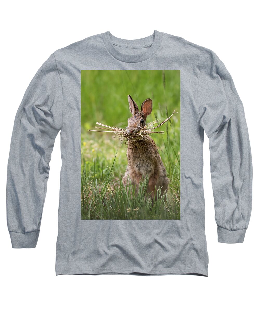 Rabbit Collector Long Sleeve T-Shirt featuring the photograph Rabbit Collector by Terry DeLuco