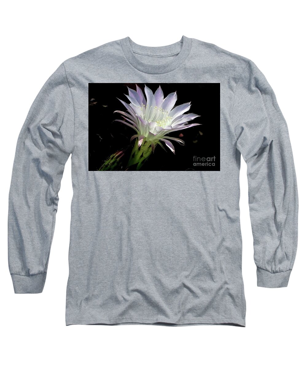 Cactus Flower Long Sleeve T-Shirt featuring the photograph Radiant by Hazel Vaughn