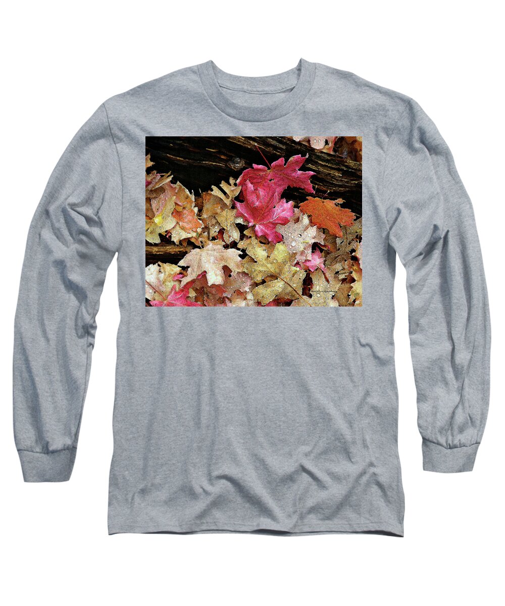 Leaves Long Sleeve T-Shirt featuring the photograph Rainy Day Leaves by Matalyn Gardner