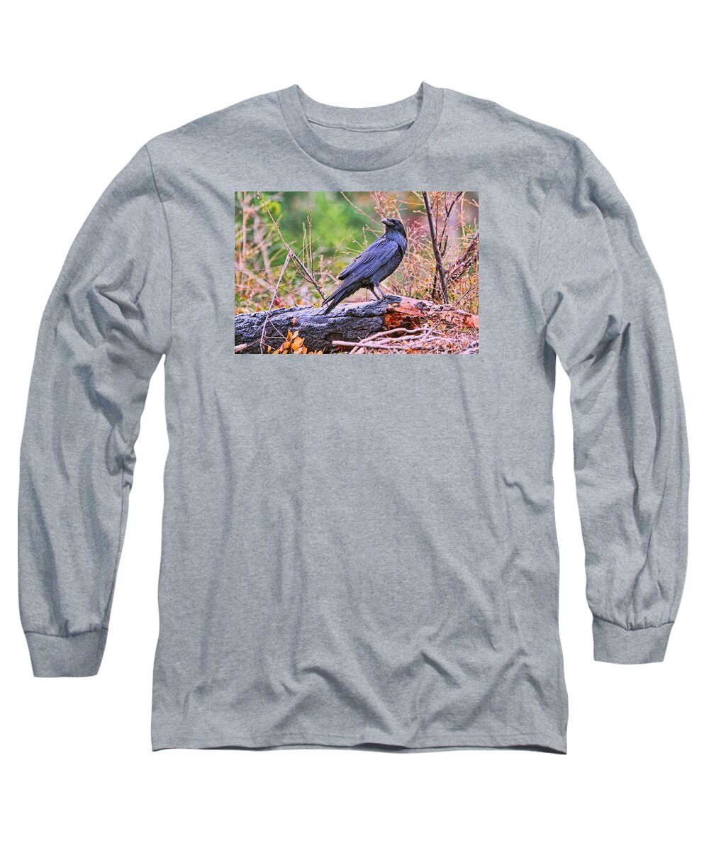Raven Long Sleeve T-Shirt featuring the photograph Raven by Peggy Collins