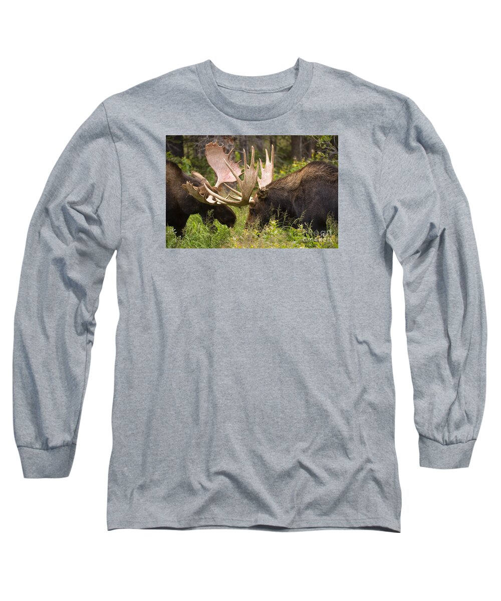 Bull Moose Long Sleeve T-Shirt featuring the photograph Reach Advantage by Aaron Whittemore