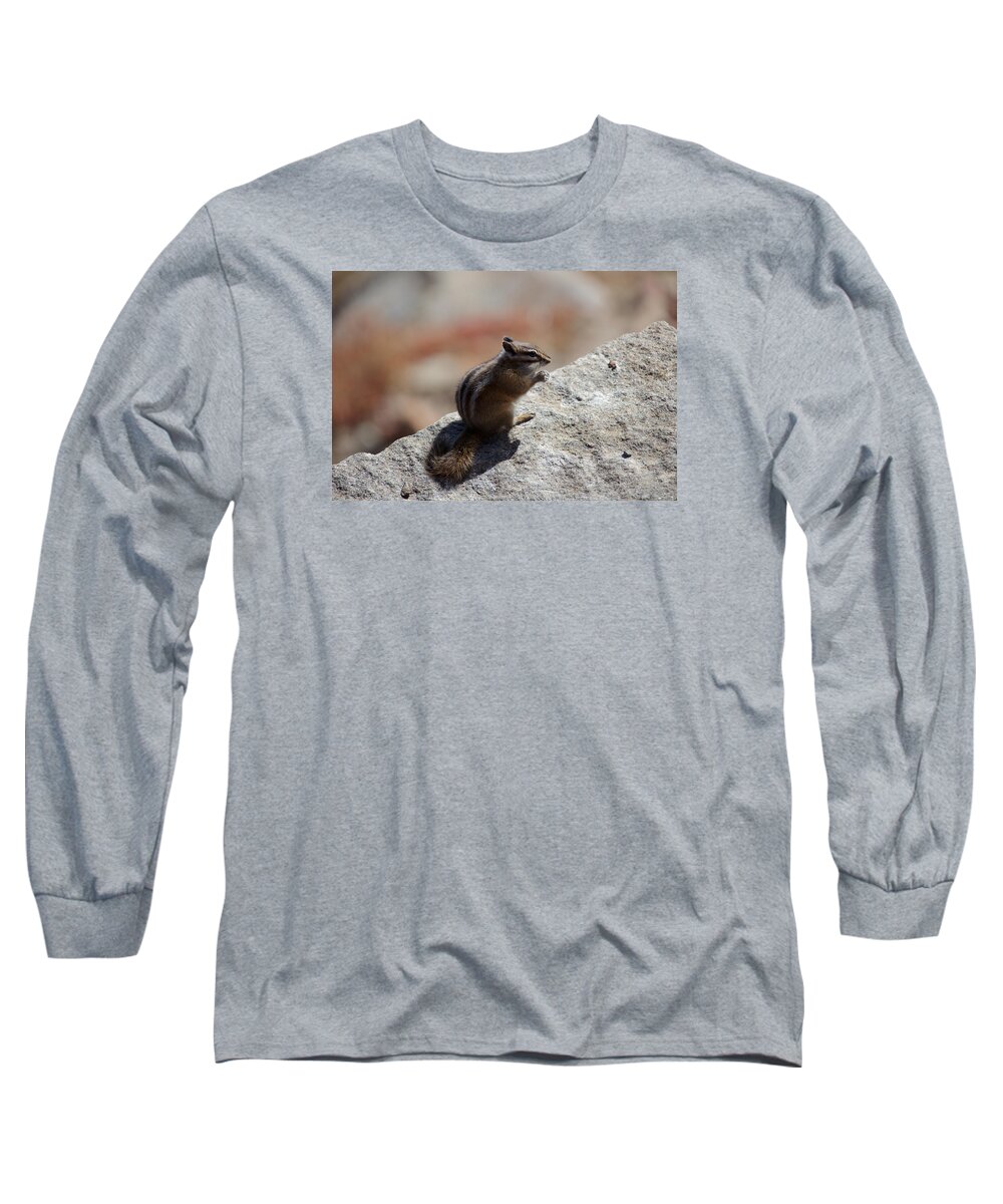 Chipmunk Long Sleeve T-Shirt featuring the photograph Ready to Eat by David Diaz