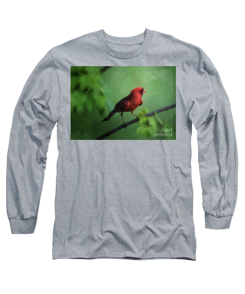 Cardinal Long Sleeve T-Shirt featuring the digital art Red Bird On A Hot Day by Lois Bryan