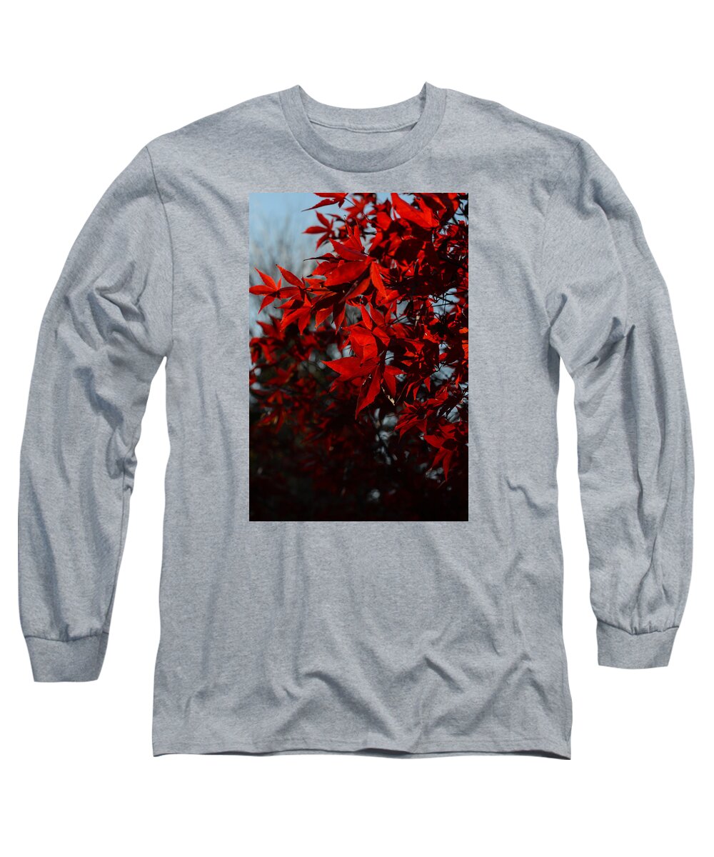Art Long Sleeve T-Shirt featuring the photograph Red Leaves 3 by Ronda Broatch