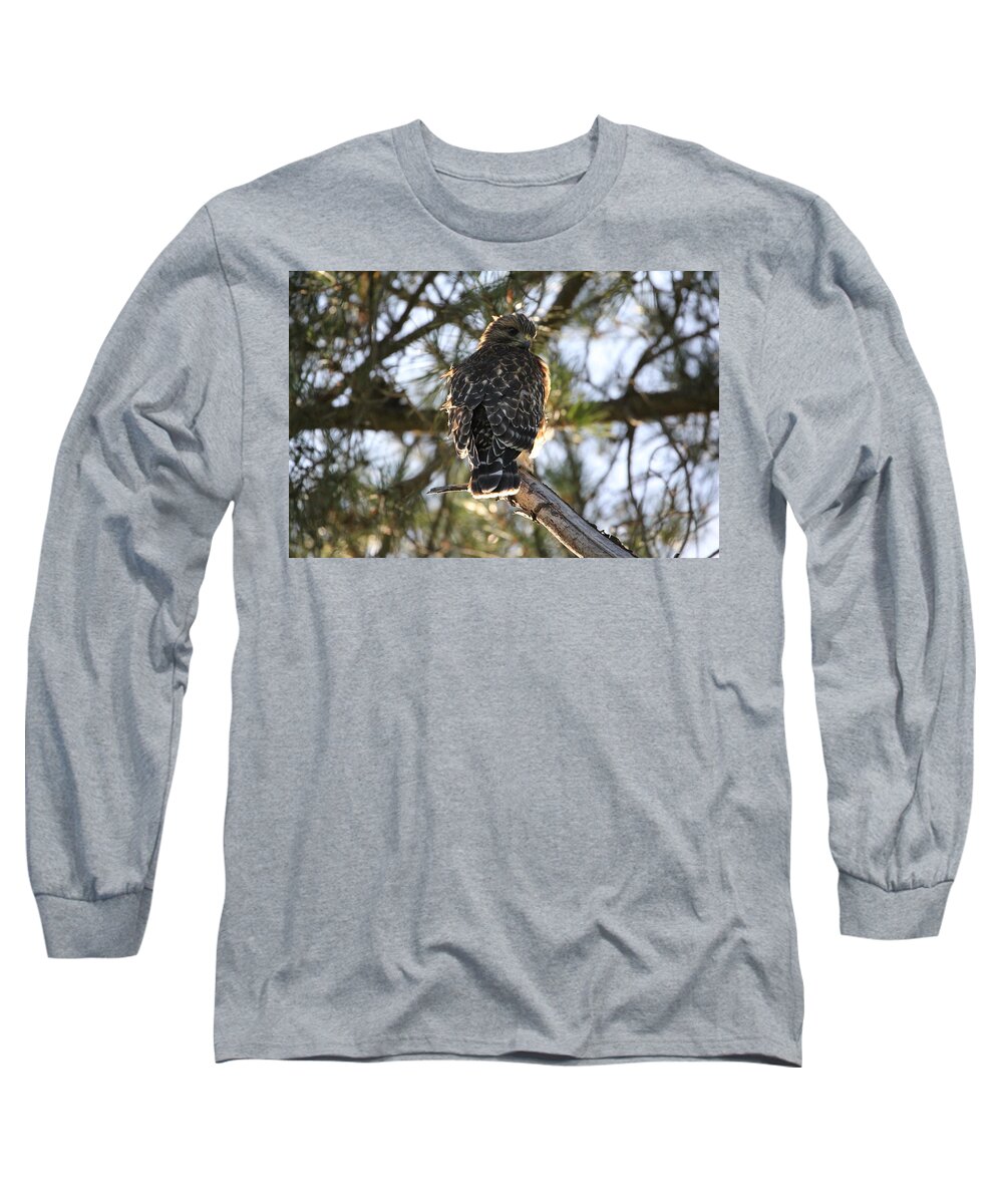 Hawk Long Sleeve T-Shirt featuring the photograph Red Shouldered Hawk Fledgling by Liz Vernand