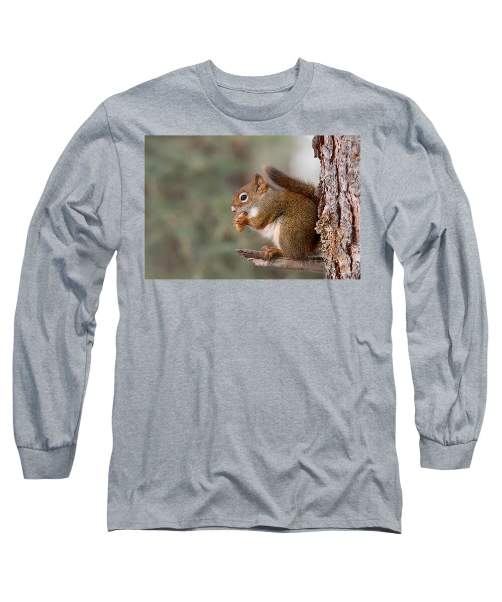 Animals Long Sleeve T-Shirt featuring the photograph Red Squirrel by Celine Pollard