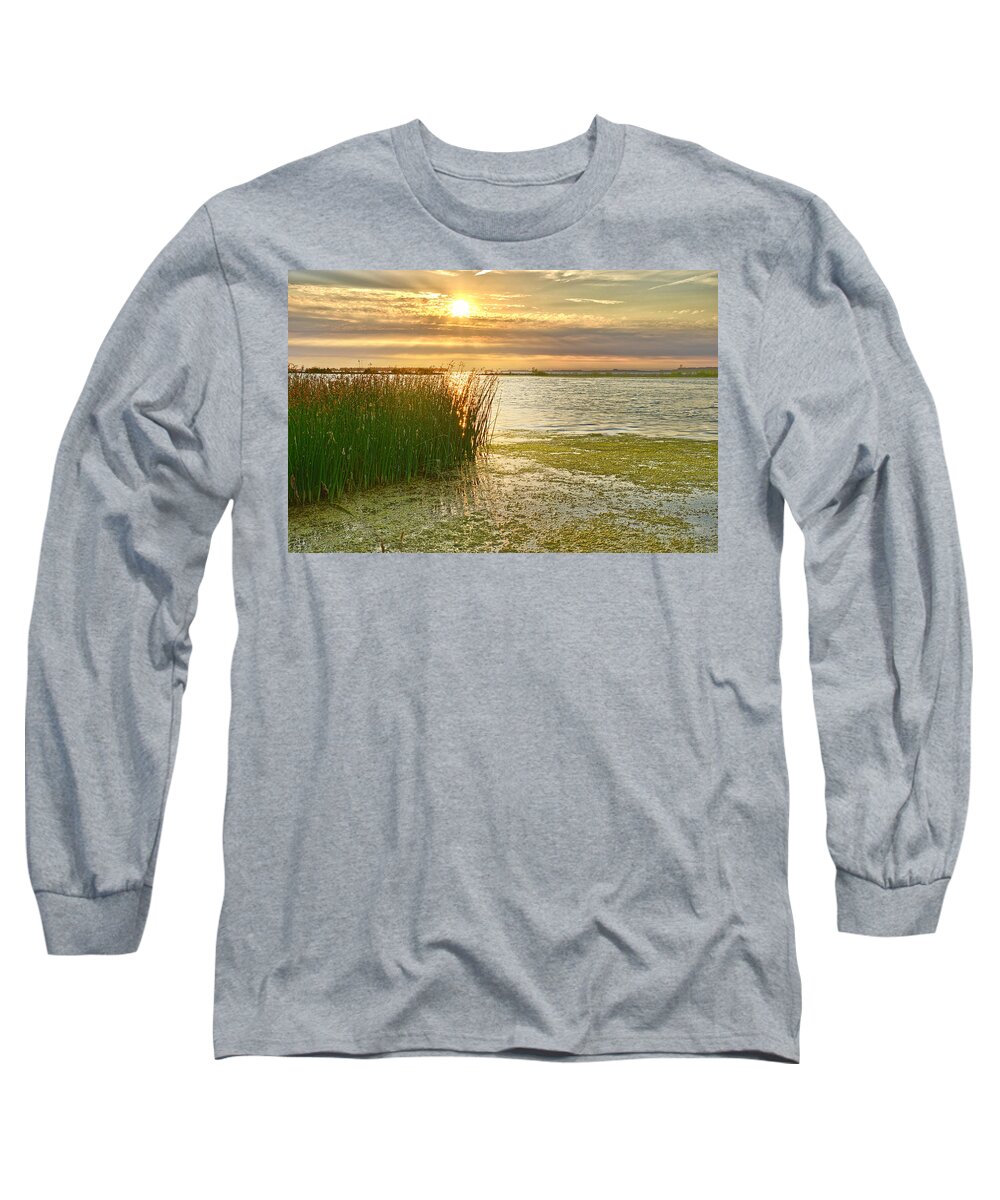 Reeds Long Sleeve T-Shirt featuring the photograph Reeds in the Sunset by Frans Blok