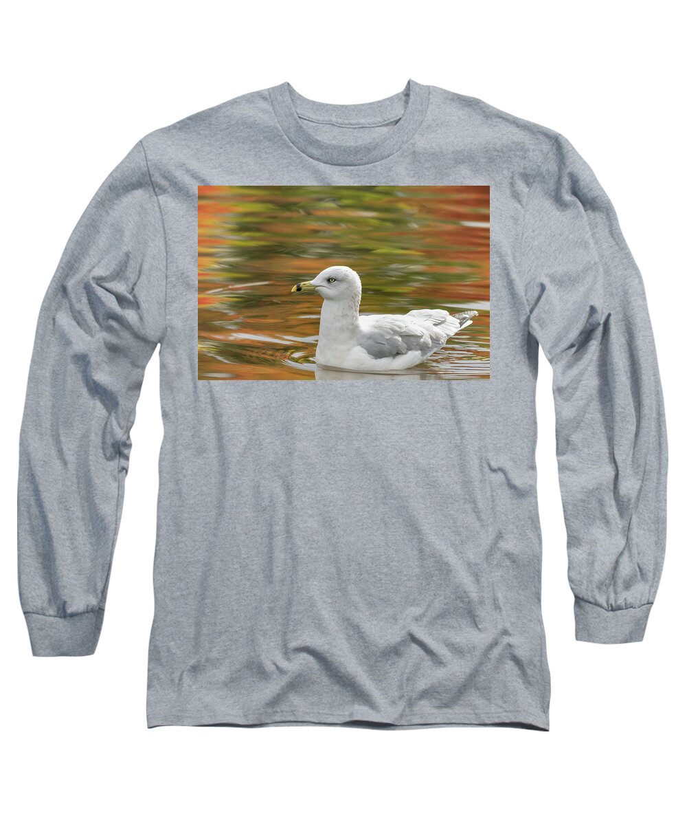 Birds Long Sleeve T-Shirt featuring the photograph Riding On A Rainbow by Ron Dubreuil