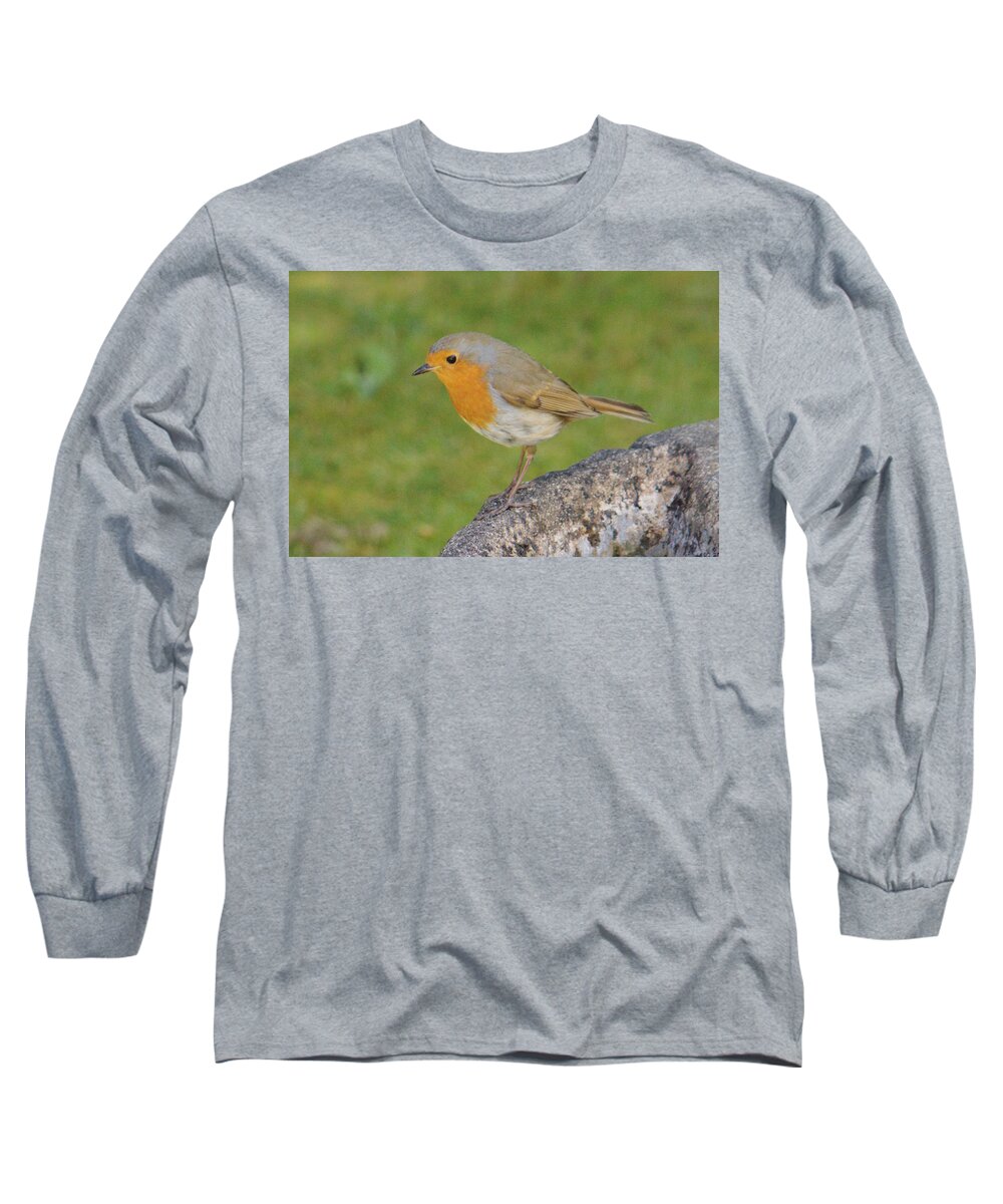 Nature Long Sleeve T-Shirt featuring the photograph Robin Perched On Stone by Adrian Wale