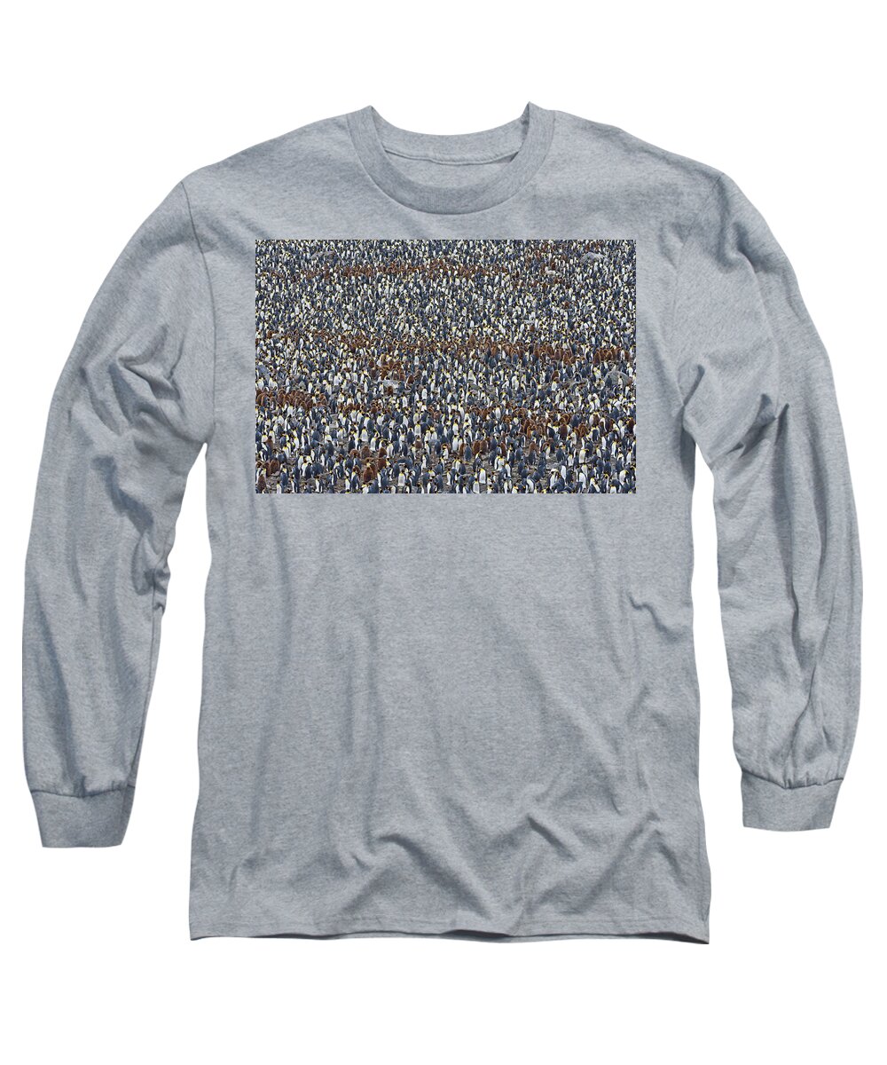 King Penguin Long Sleeve T-Shirt featuring the photograph Royal Layers by Tony Beck