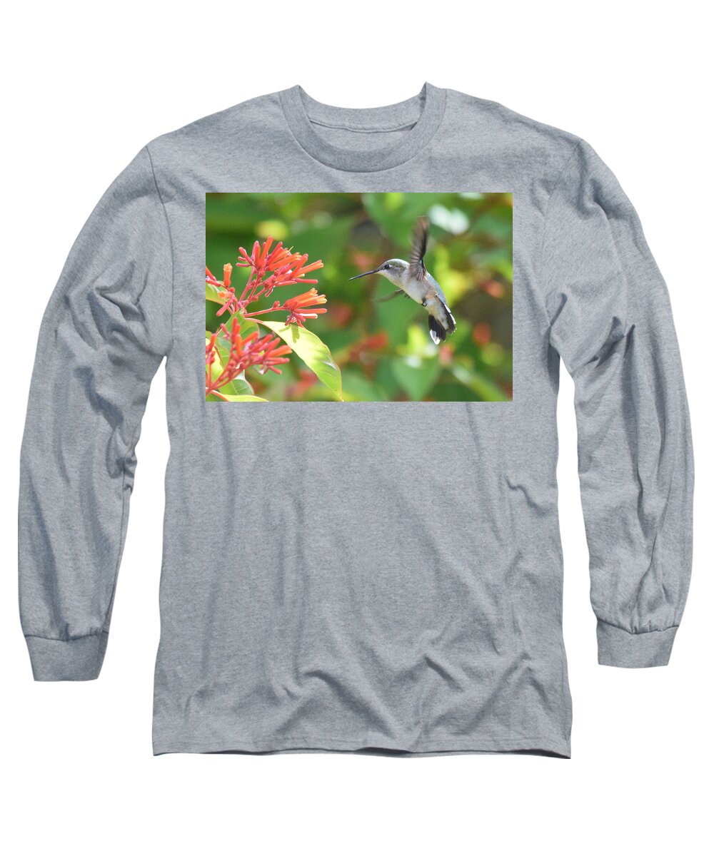 Hummingbird Long Sleeve T-Shirt featuring the photograph Ruby-throated Hummingbird by Jim Bennight