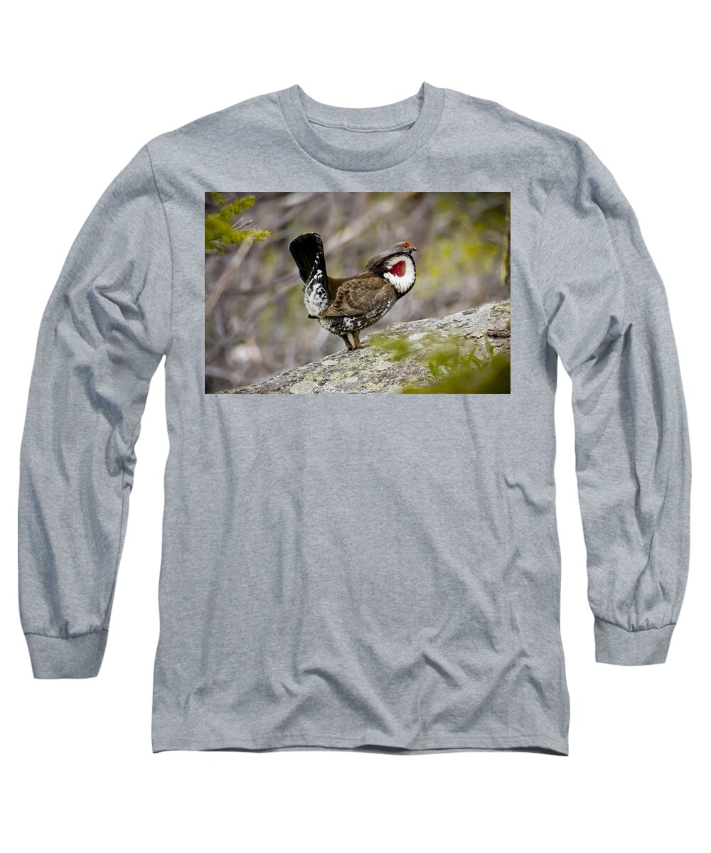 Wildlife Long Sleeve T-Shirt featuring the photograph Ruffled Grouse by Albert Seger