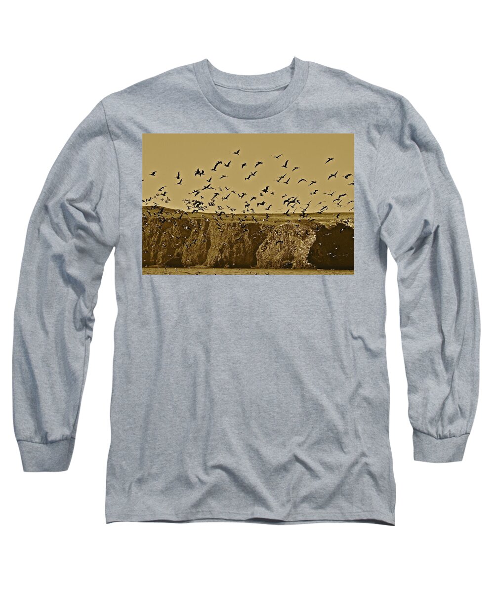 Birds Long Sleeve T-Shirt featuring the photograph Run For Cover by Diana Hatcher