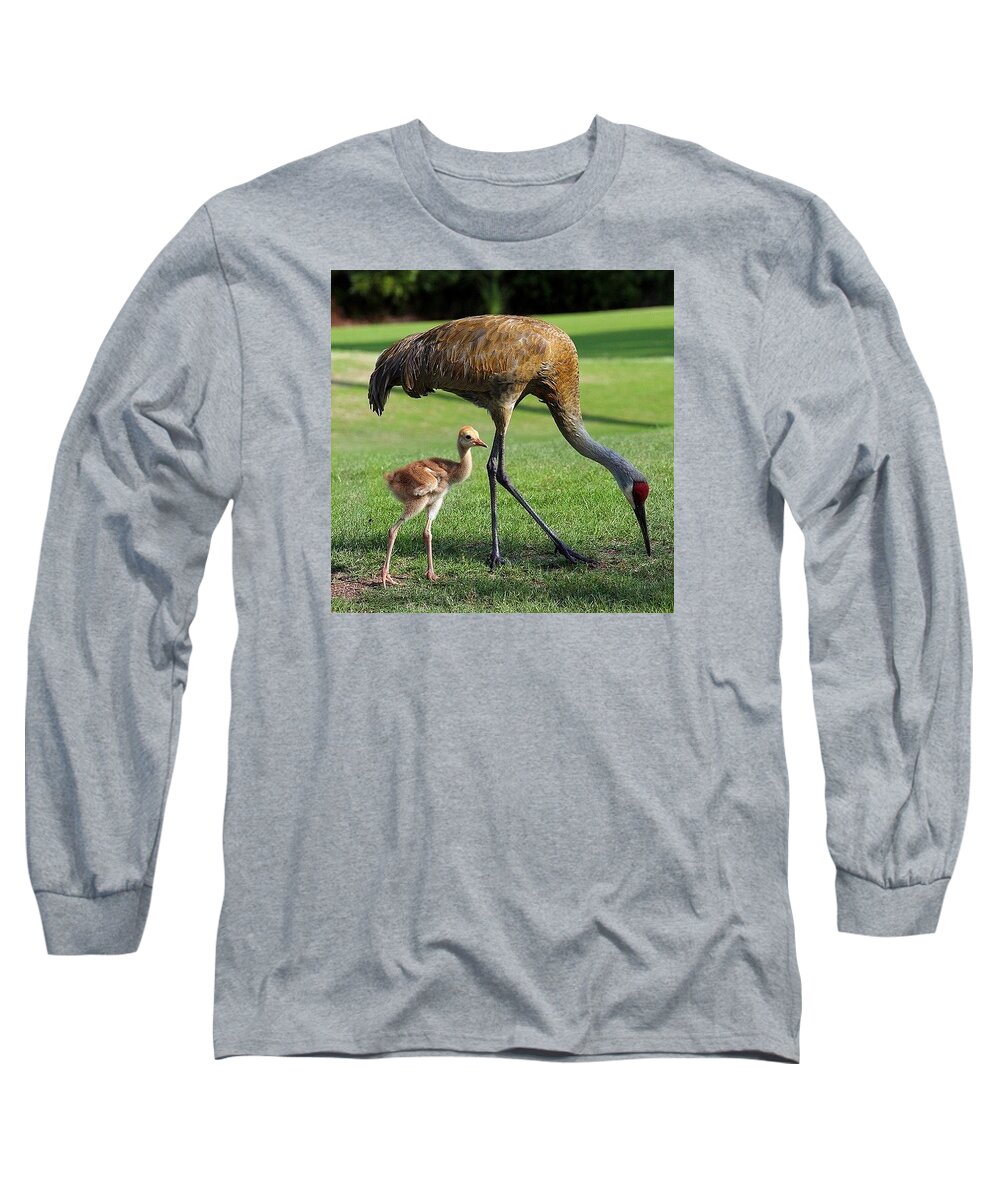 Sandhill Cranes Long Sleeve T-Shirt featuring the photograph Sandhill Cranes by Carolyn Mickulas