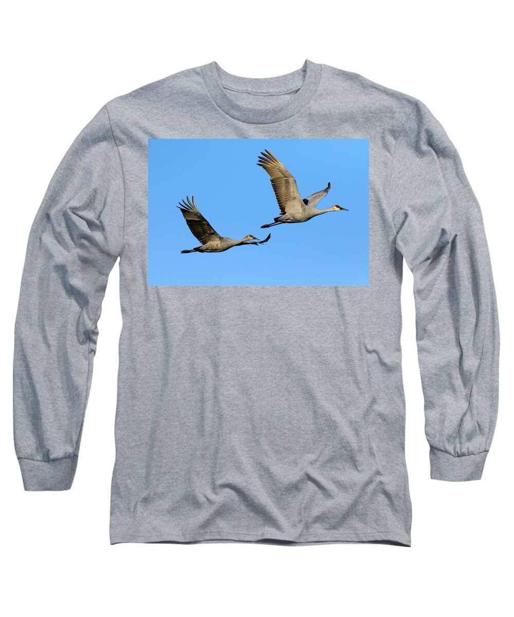 Lake Erie Long Sleeve T-Shirt featuring the photograph Sandhill Cranes in Flight 2 by Gary Hall
