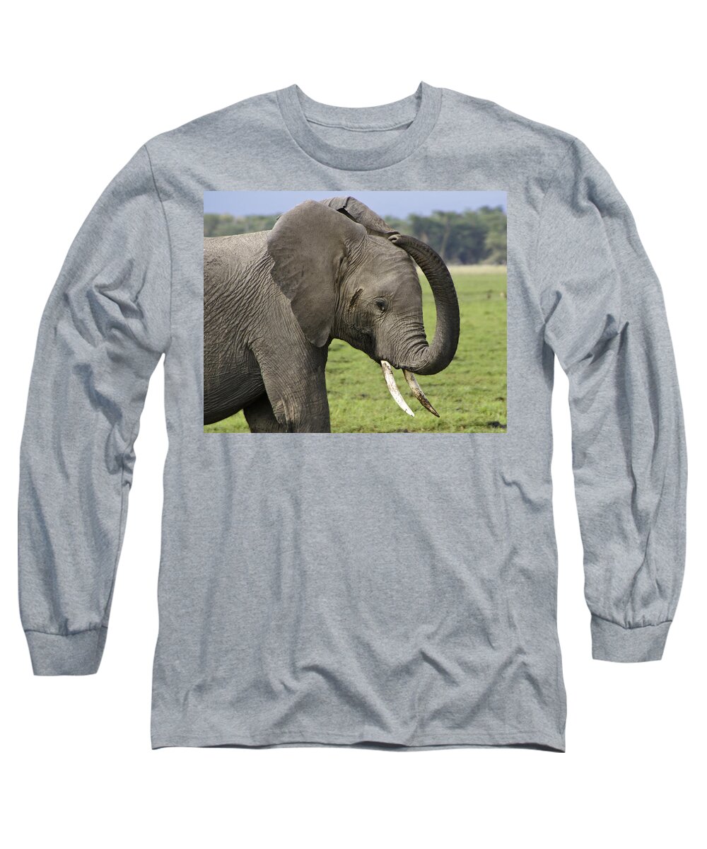 Africa Long Sleeve T-Shirt featuring the photograph Scratching an Itch by Michele Burgess