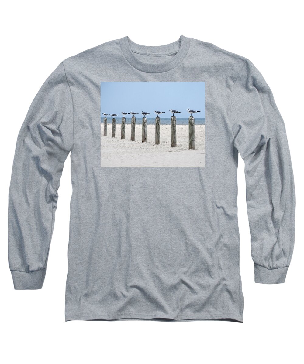 Seagull Long Sleeve T-Shirt featuring the photograph Seagulls by Brian Kinney