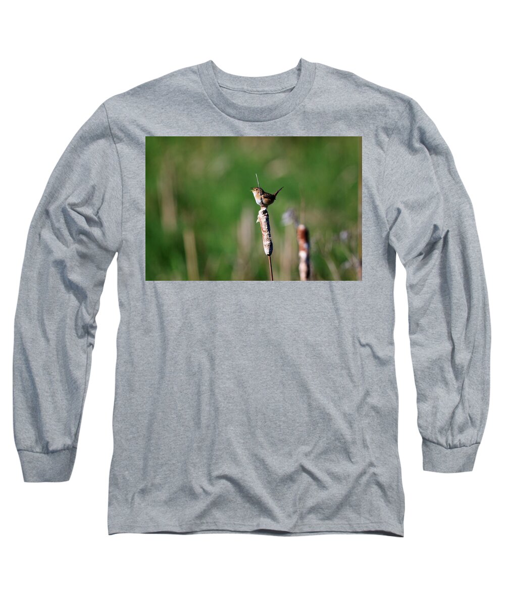 Gary Hall Long Sleeve T-Shirt featuring the photograph Sedge Wren by Gary Hall