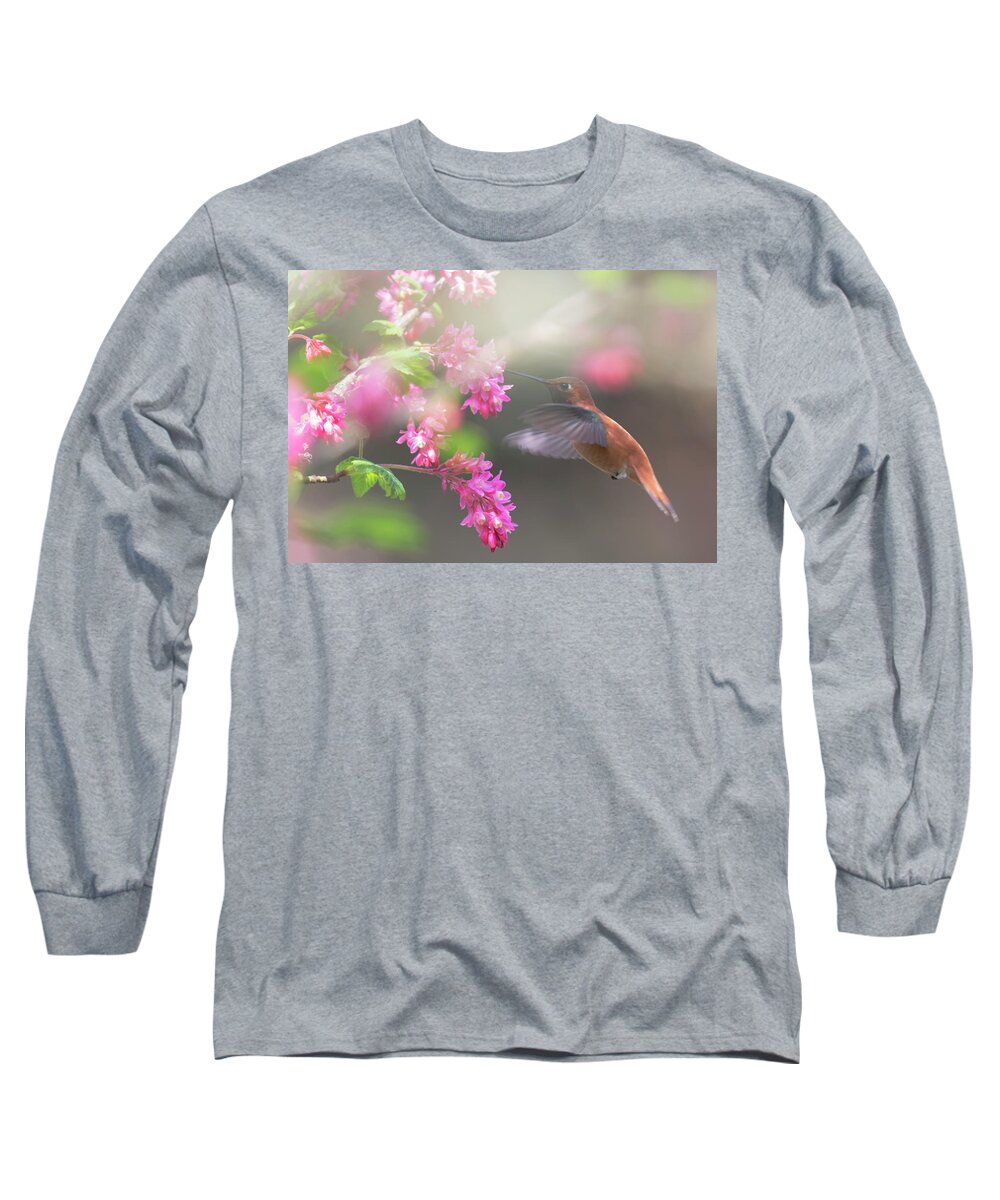 Rufous Hummingbird Long Sleeve T-Shirt featuring the photograph Sign Of Spring 2 by Randy Hall