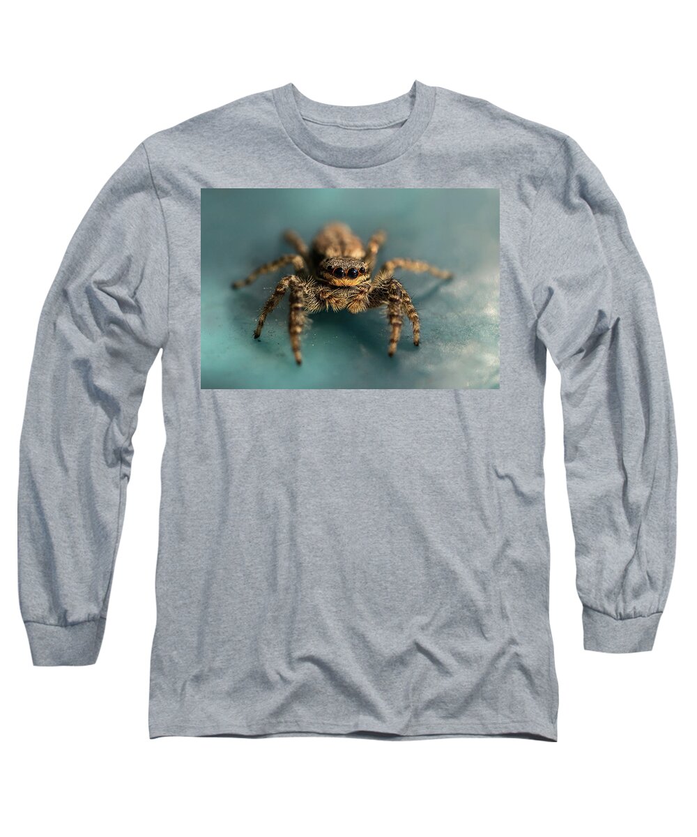 Insect Long Sleeve T-Shirt featuring the photograph Small jumping spider by Jaroslaw Blaminsky