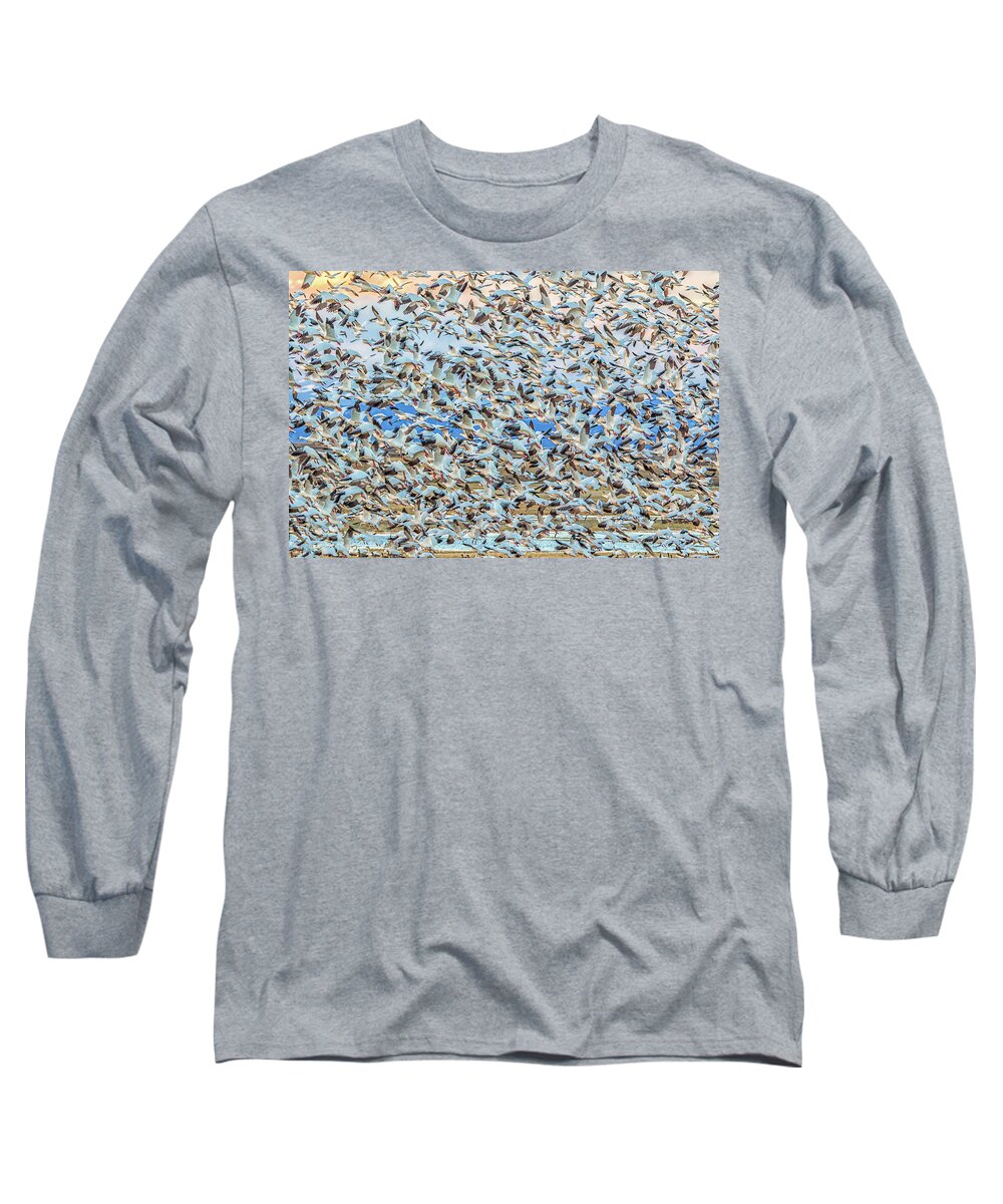 California Long Sleeve T-Shirt featuring the photograph Snow Geese Fly Off by Marc Crumpler