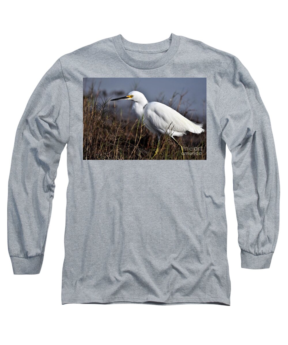 Egretta Thula Long Sleeve T-Shirt featuring the photograph Snowy Egret On The Hunt by Julie Adair