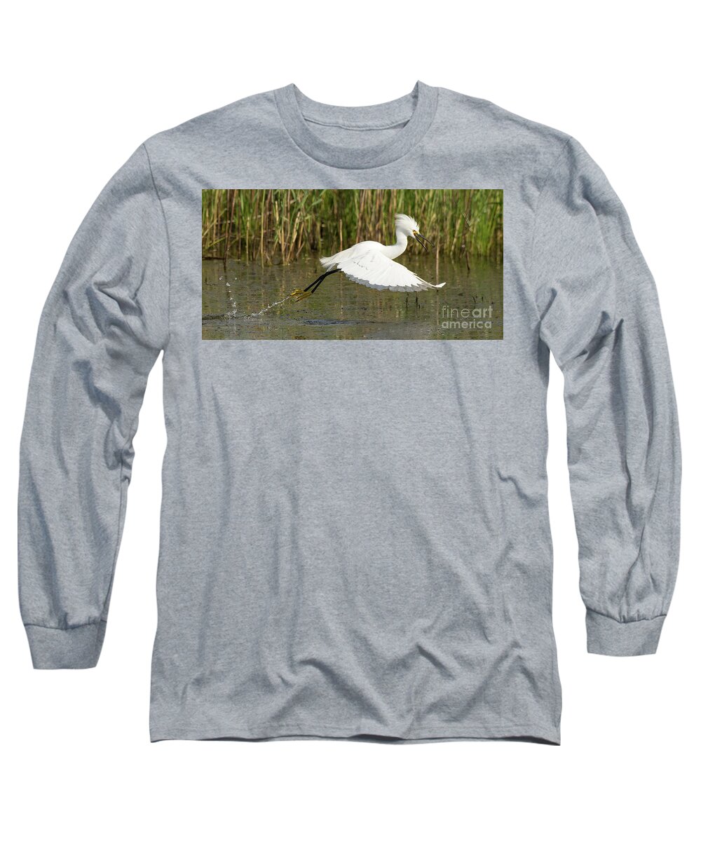 Bird Long Sleeve T-Shirt featuring the photograph Snowy Egret Taking Flight by Dennis Hammer