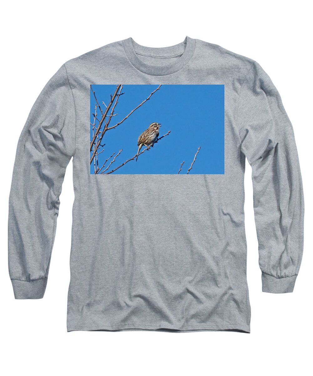 Bird Long Sleeve T-Shirt featuring the photograph Song Sparrow by Michael Peychich