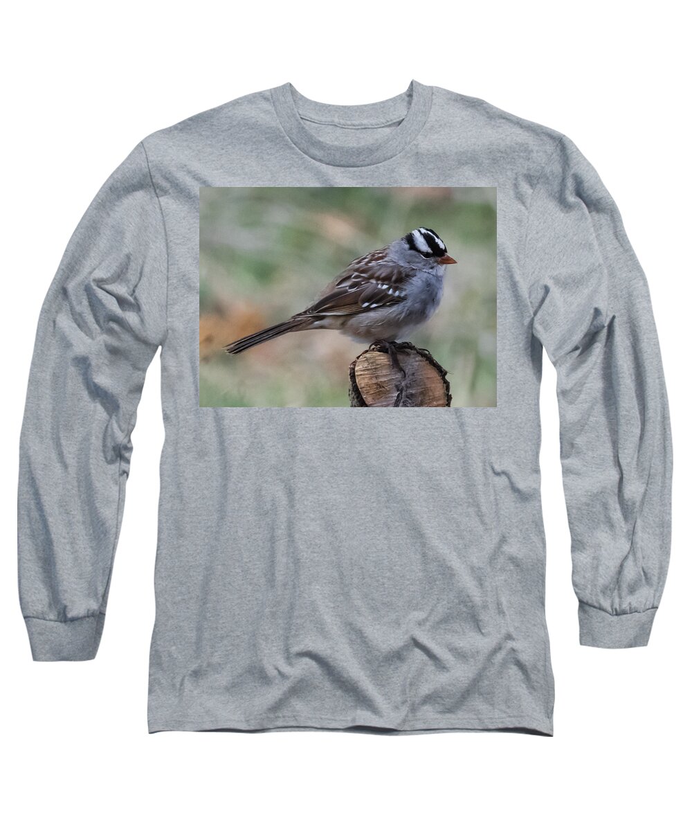 Jan Holden Long Sleeve T-Shirt featuring the photograph Sparrow   by Holden The Moment
