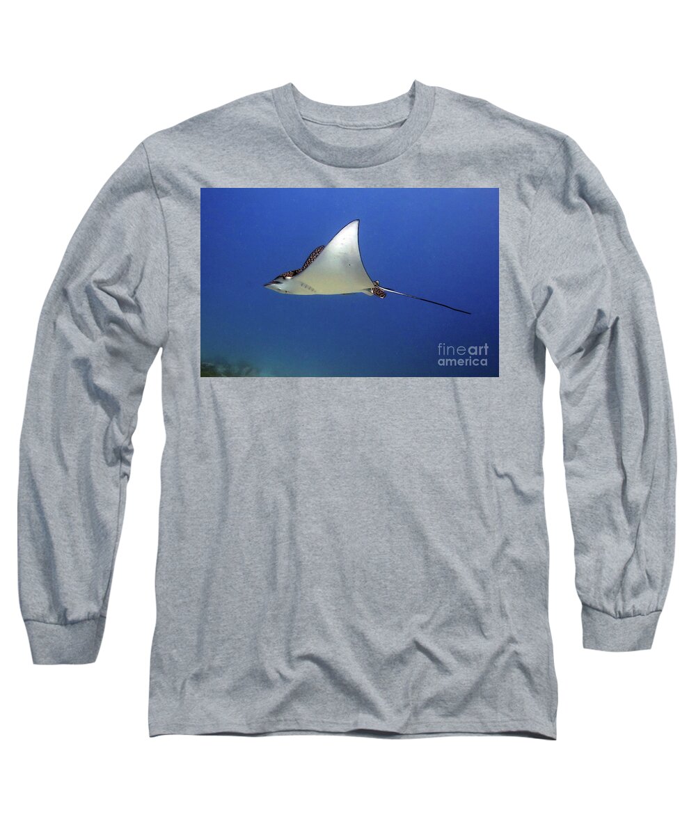 Underwater Long Sleeve T-Shirt featuring the photograph Spotted Eagle Ray by Daryl Duda