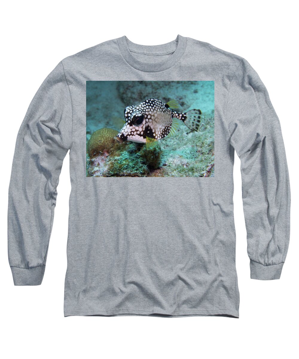 Jean Noren Long Sleeve T-Shirt featuring the photograph Spotted Trunkfsh by Jean Noren