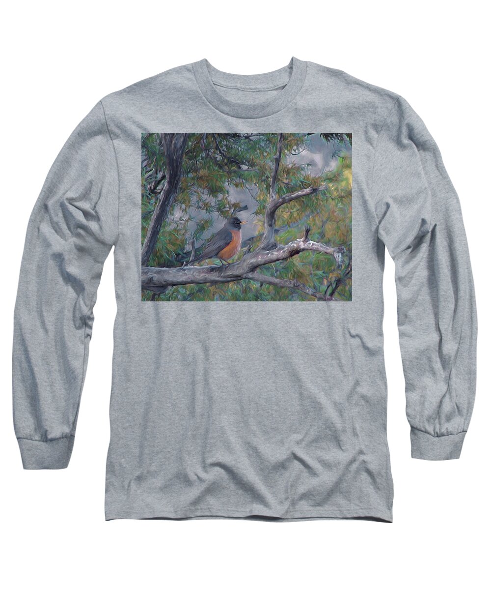 Animals Long Sleeve T-Shirt featuring the digital art Spring Morning Robin DA by Ernest Echols