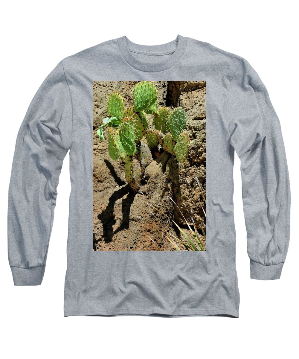 Landscape Long Sleeve T-Shirt featuring the photograph Spring Refreshment by Ron Cline