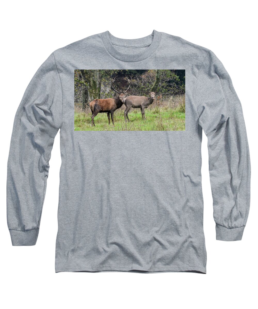 Stag Long Sleeve T-Shirt featuring the photograph Stag and Doe by Joe Ormonde