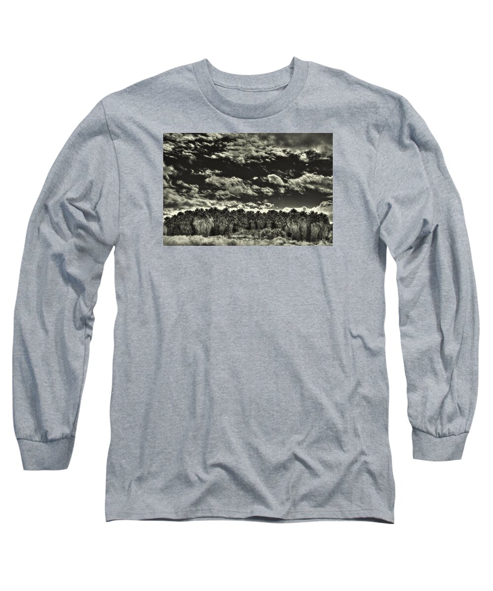 Palm Springs Long Sleeve T-Shirt featuring the photograph Stand of Ancient Palms by Roger Passman