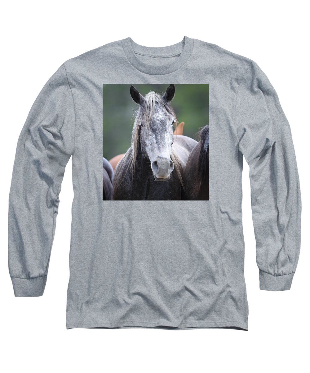 Wyoming Long Sleeve T-Shirt featuring the photograph Steel Grey by Diane Bohna