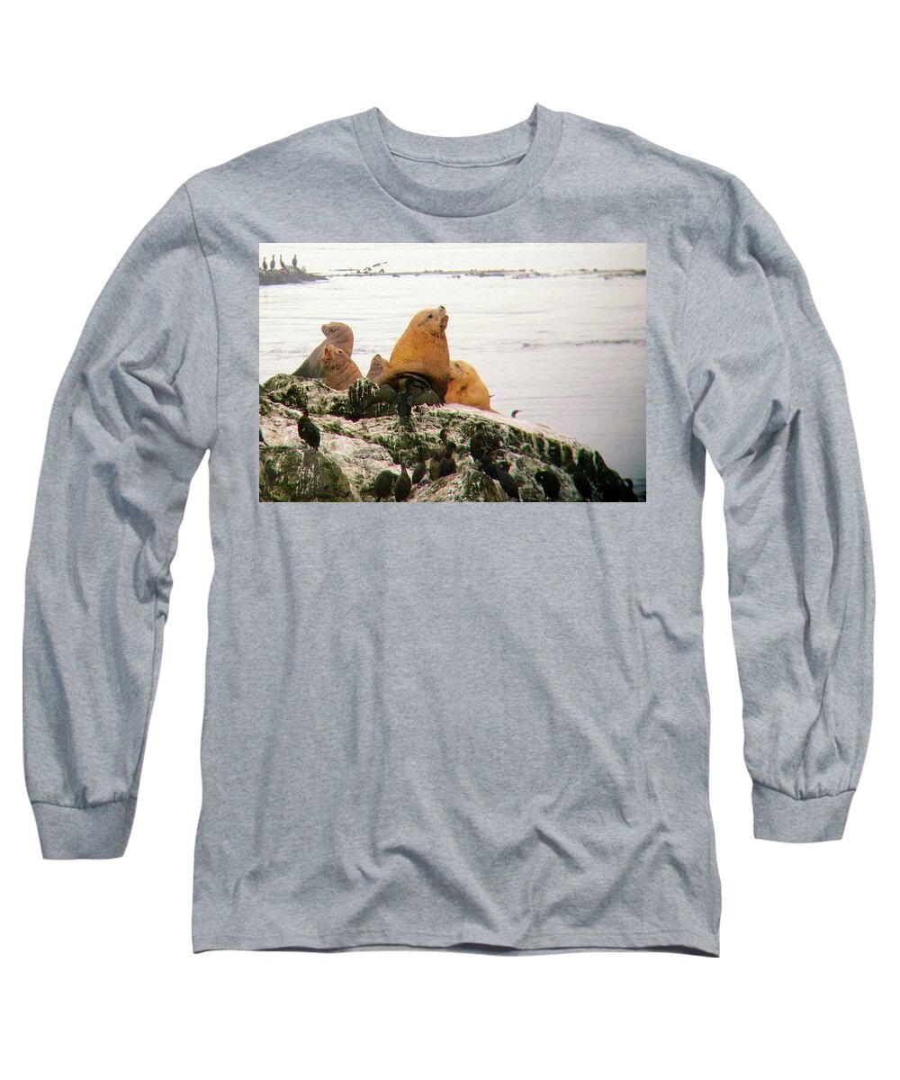  Long Sleeve T-Shirt featuring the photograph Steller Sea Lions Washington 2010 by Leizel Grant