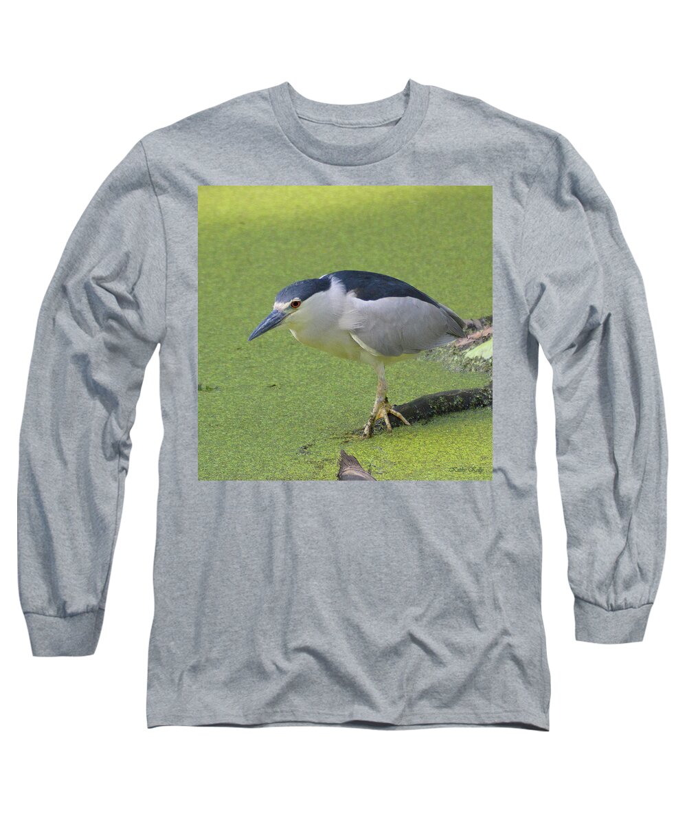 Black Crowned Night Heron Long Sleeve T-Shirt featuring the photograph Step Lightly by Kathy Kelly