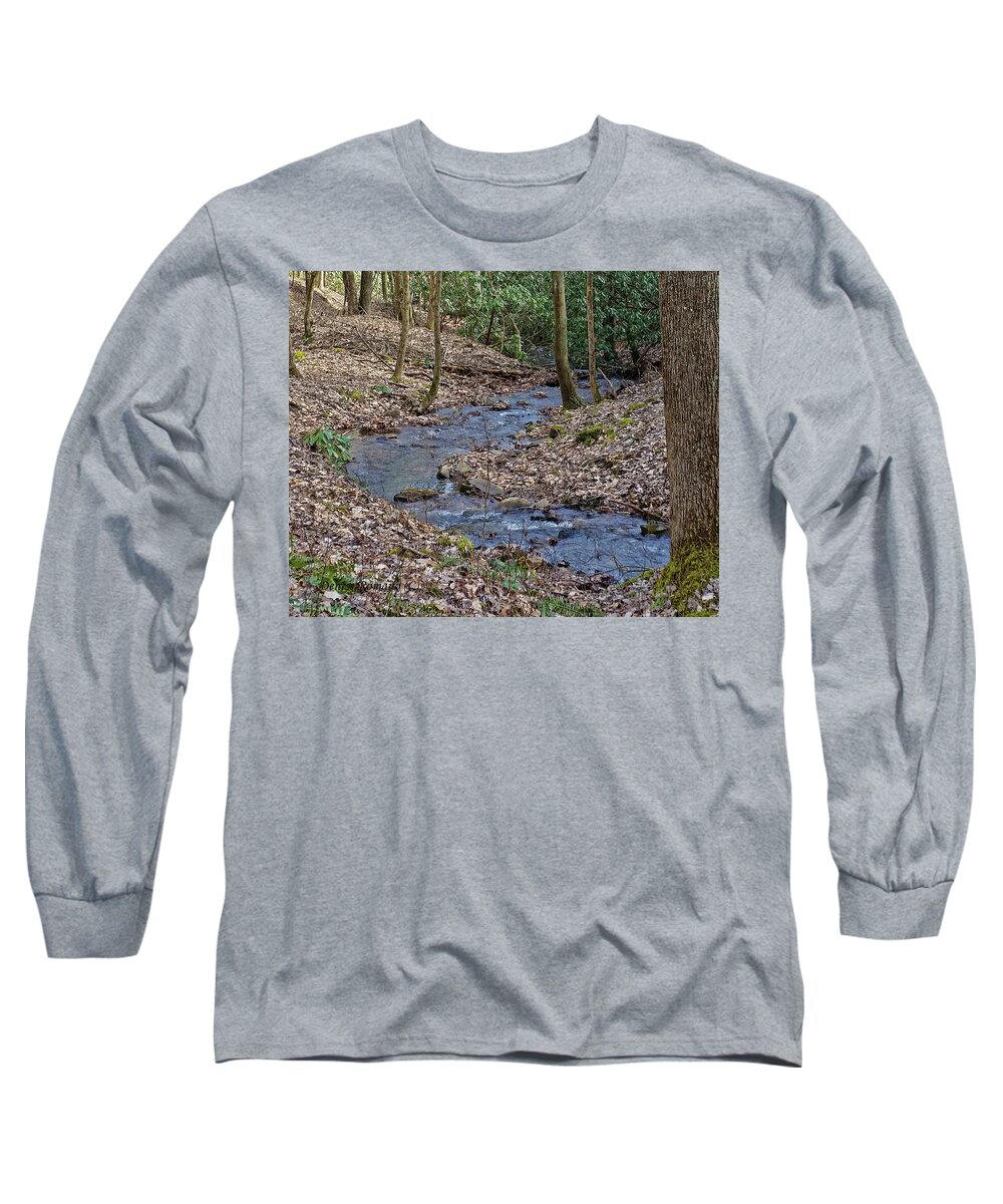 Water Long Sleeve T-Shirt featuring the photograph Stream Up The Hollow by Denise Romano