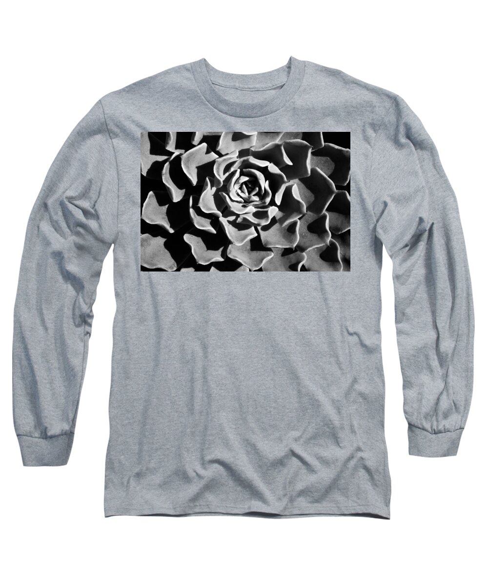 Succulent Long Sleeve T-Shirt featuring the photograph Succulent Extrem by Catherine Lau