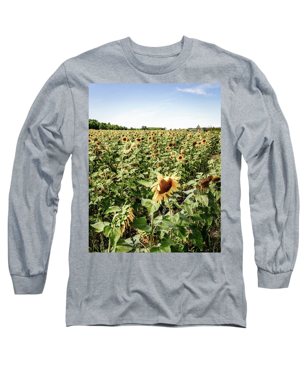 America Long Sleeve T-Shirt featuring the photograph Sunflower field by Alexey Stiop