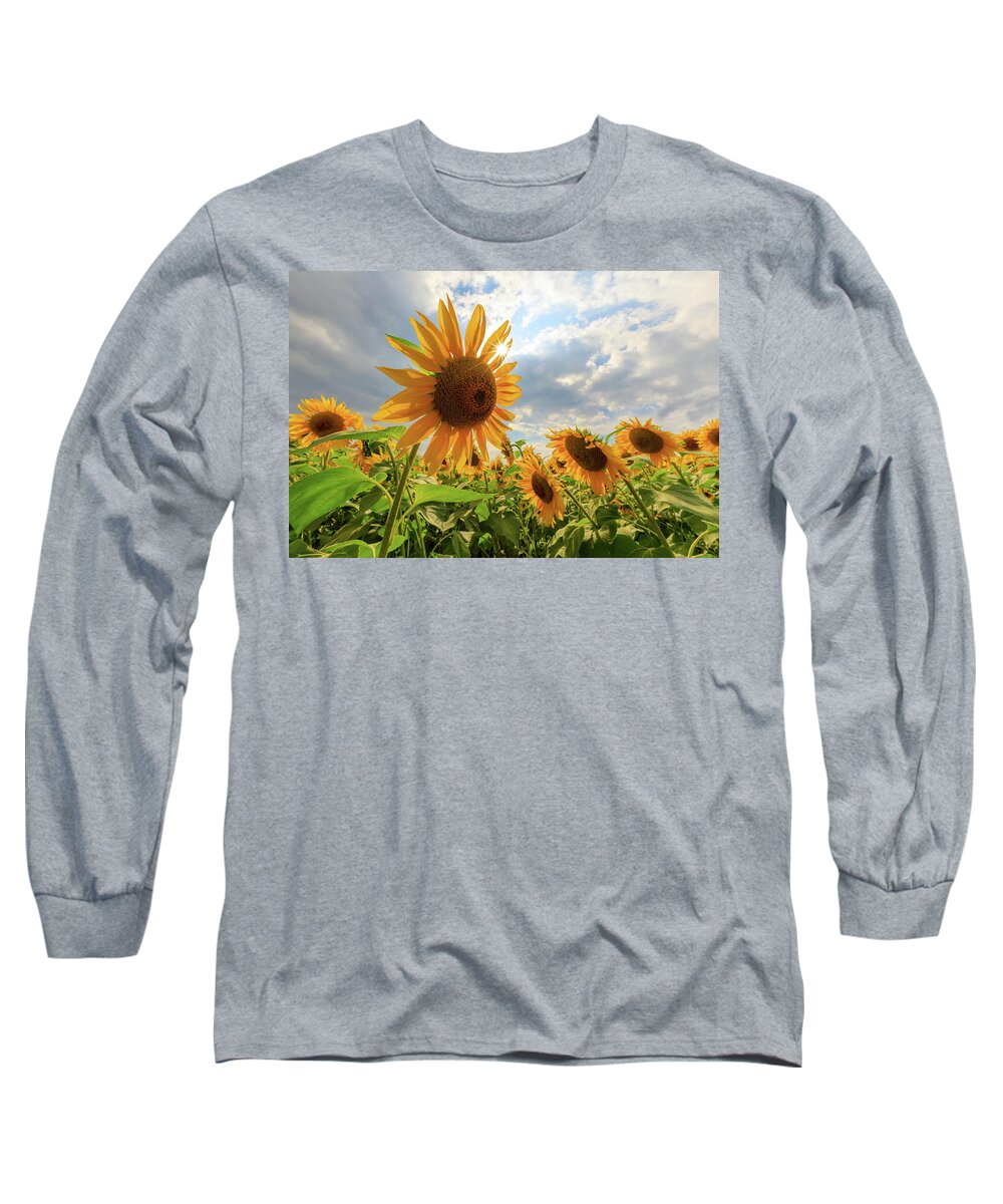 Sunflower Long Sleeve T-Shirt featuring the photograph Sunflower Star by Rob Davies
