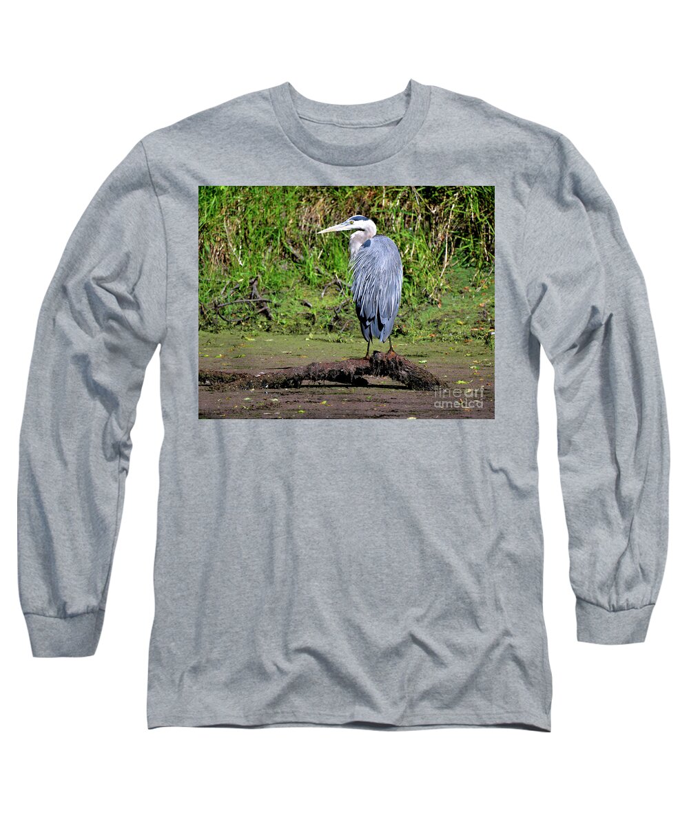 Denise Bruchman Long Sleeve T-Shirt featuring the photograph Sunning Great Blue Heron by Denise Bruchman