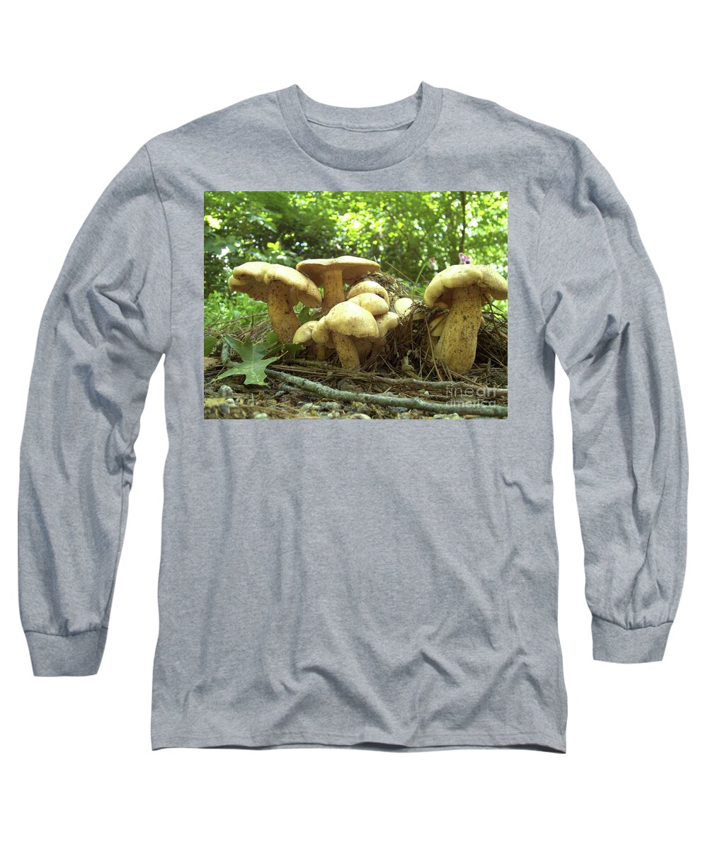 Mushroom Long Sleeve T-Shirt featuring the photograph Surprise Fungi in Gibbs Garden by Nicole Angell