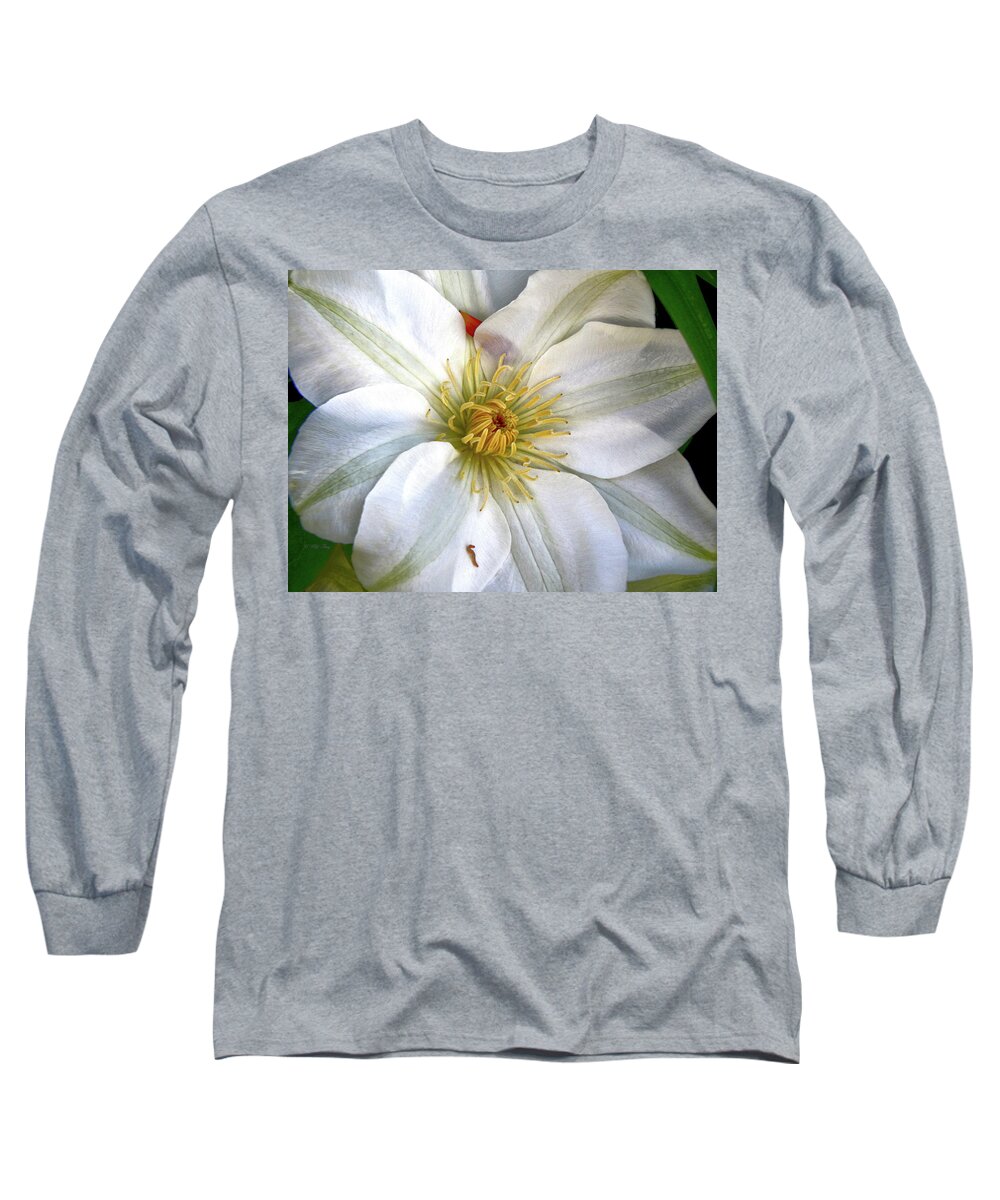Spring Long Sleeve T-Shirt featuring the photograph Susie by Wild Thing