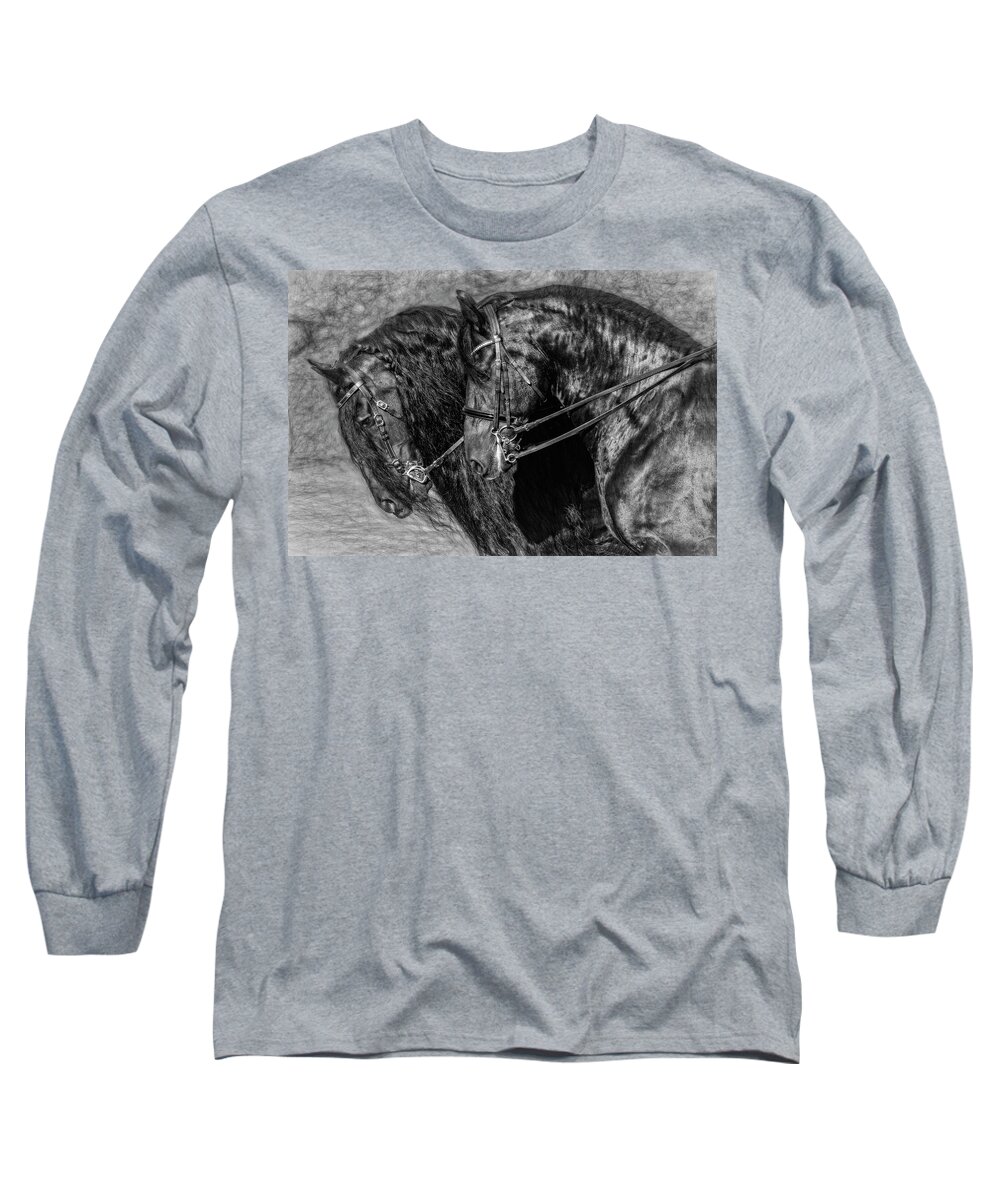Tandem Friesians Long Sleeve T-Shirt featuring the photograph Tandem Friesians by Wes and Dotty Weber