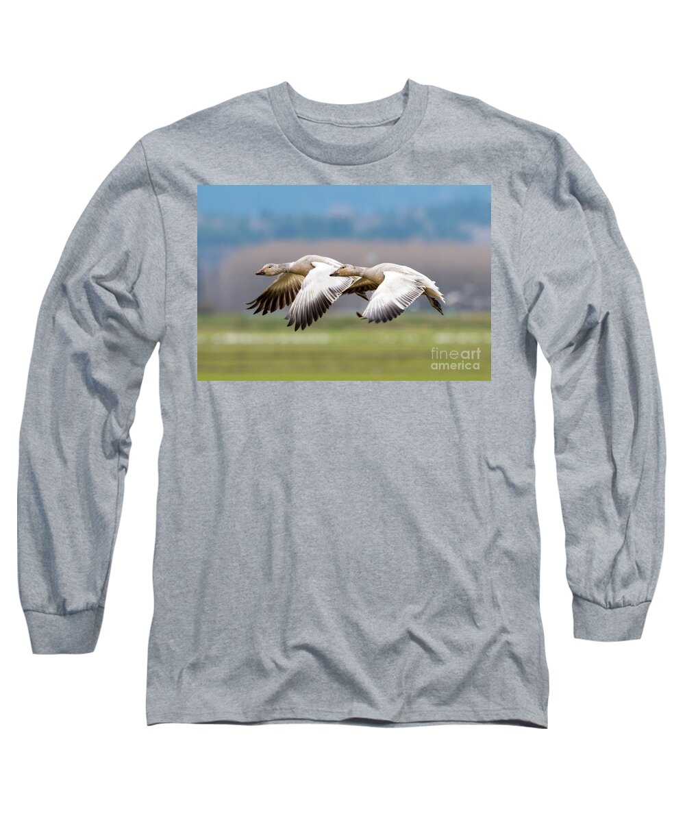 Geese Long Sleeve T-Shirt featuring the photograph Tandem Glide by Michael Dawson