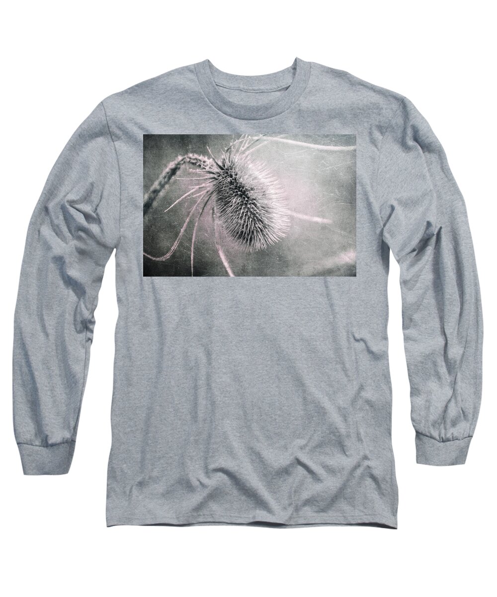 Plant Long Sleeve T-Shirt featuring the photograph Teazel Weed by Tom Mc Nemar