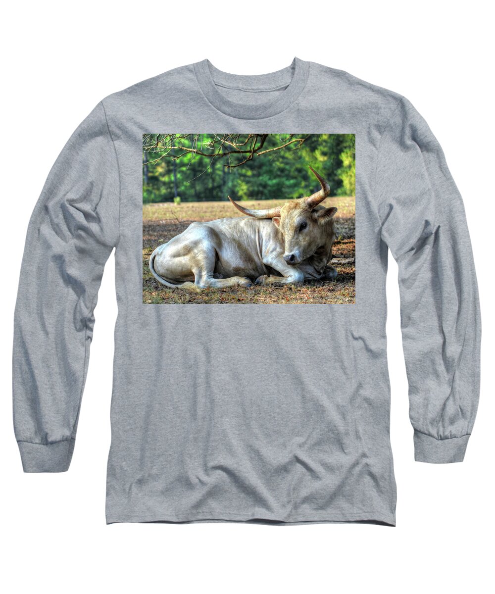 Texas Longhorn Long Sleeve T-Shirt featuring the digital art Texas Longhorn Gentle Giant by Brad Thornton